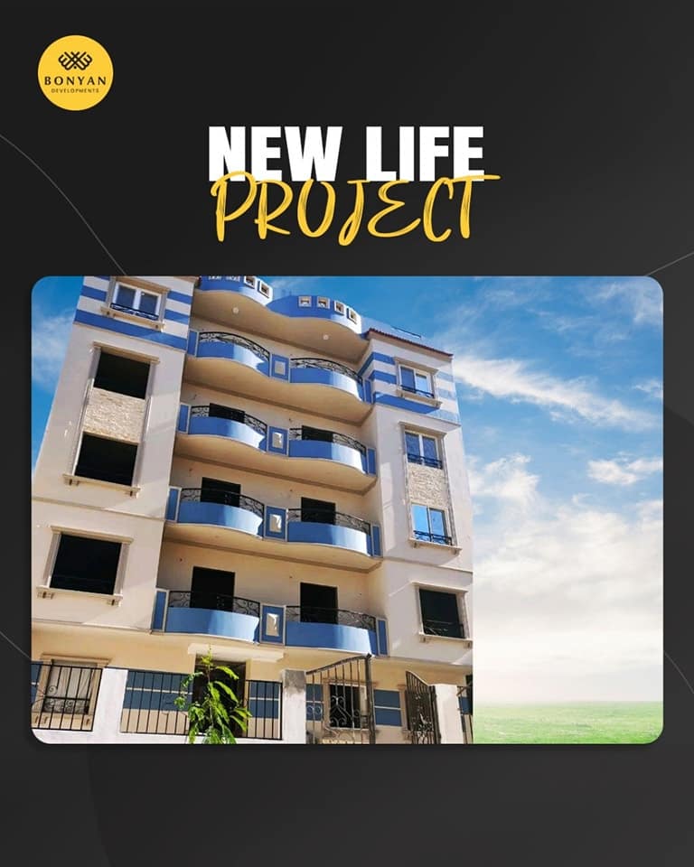 new life